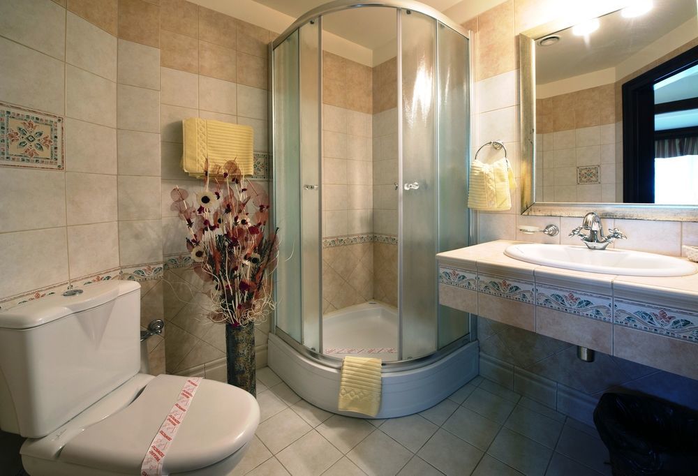 Pensiunea Nora Guest house Timisoara